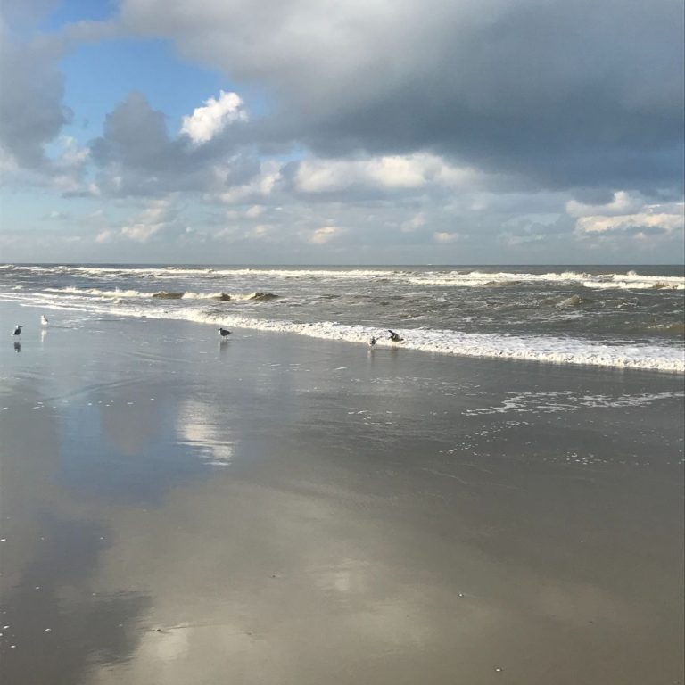 Weer aan het werk na de vakantie?